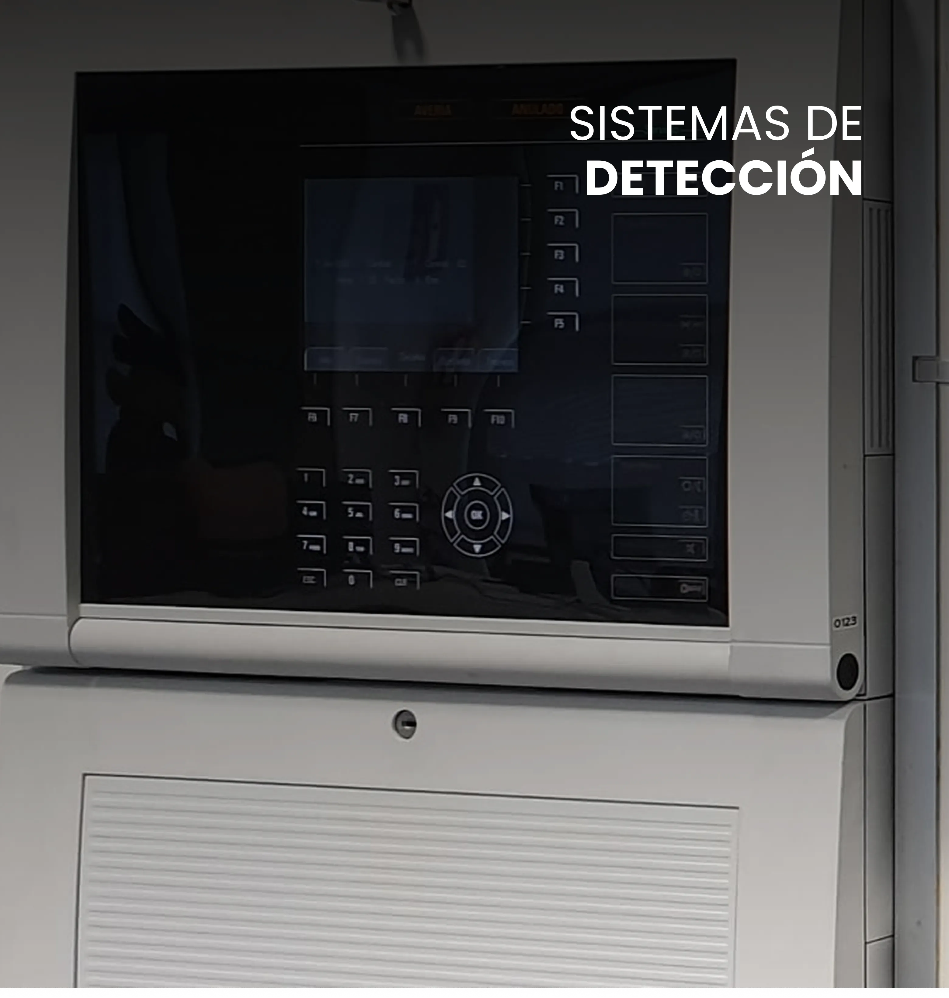 Sistemas De Deteccion