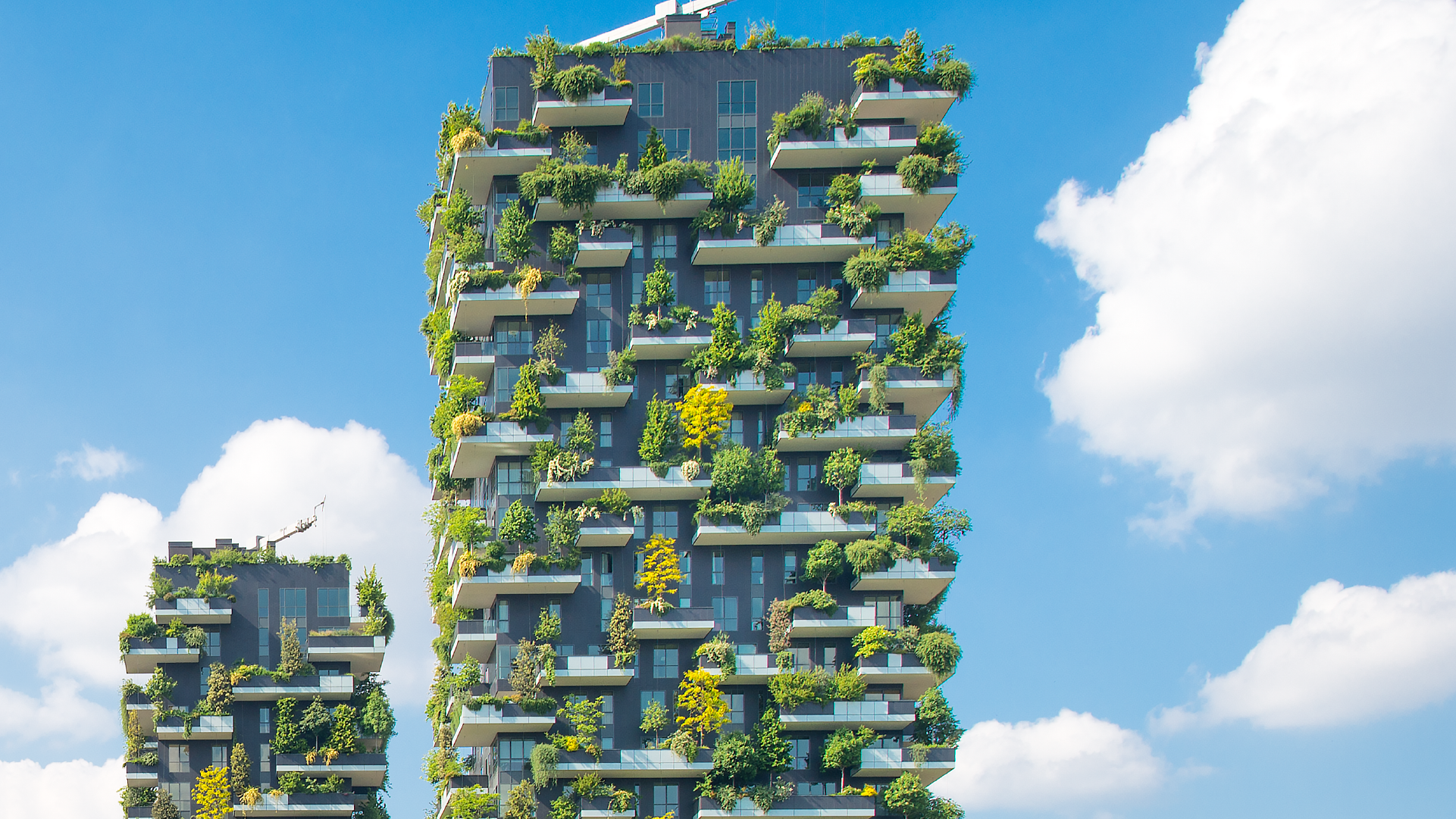 Jardines verticales