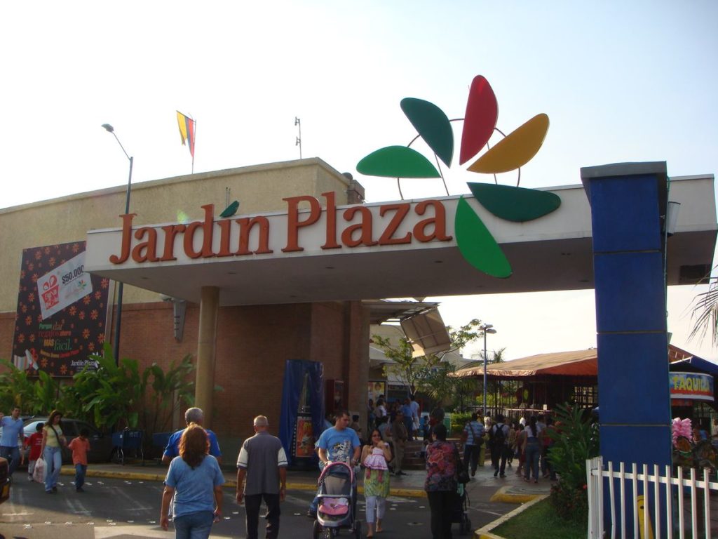 Centro comercial Jardín plaza, Carrefour